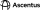 Ascentus logo