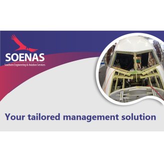 SOENAS Representation and Management Services