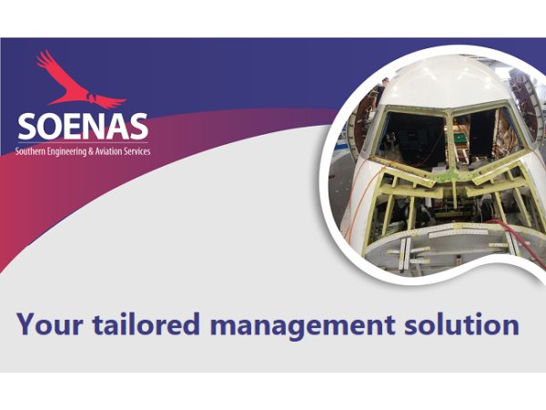 SOENAS Representation and Management Services