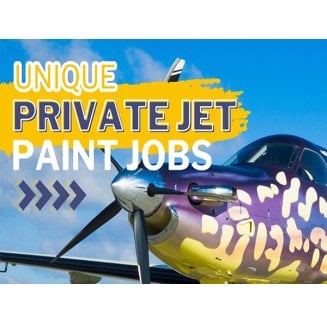 Duncan Aviation Private Jet Paint