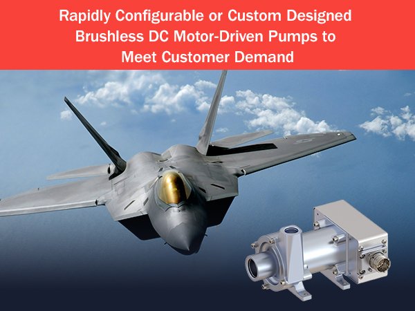 Brushless DC Motor-Driven Pump 