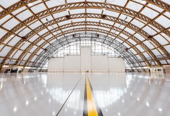 Champion Door Hangar Doors