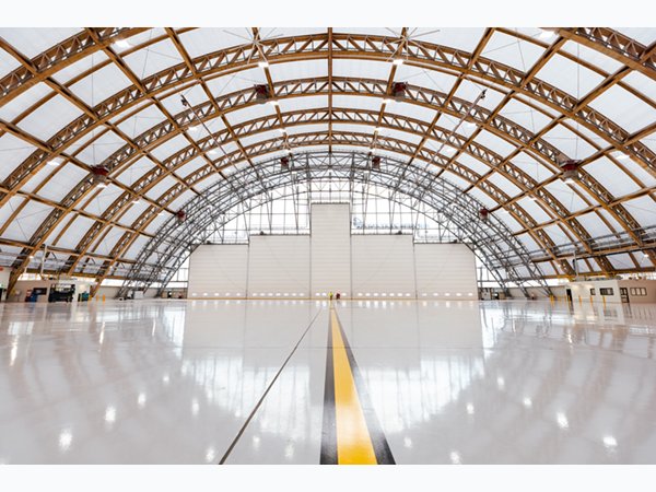 Champion Door Hangar Doors